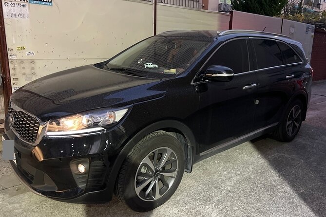 Qatar Doha Hamad Airport (DOH) to Doha - Arrival Private Transfer - Flexible Cancellation