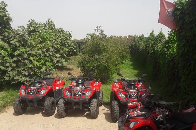 Quad Biking and Sandboarding on Sand Dunes Wild Beach - Cancellation and Pricing