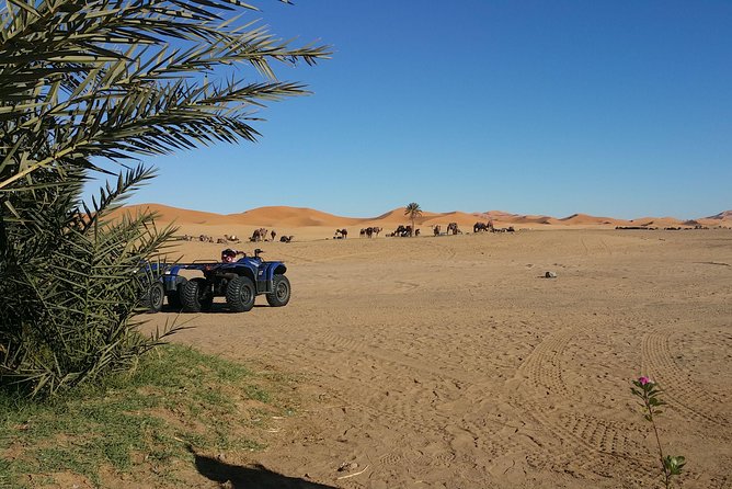 Quad Biking in Merzouga Dunes Desert Erg Chebbi - Quad Biking Experience