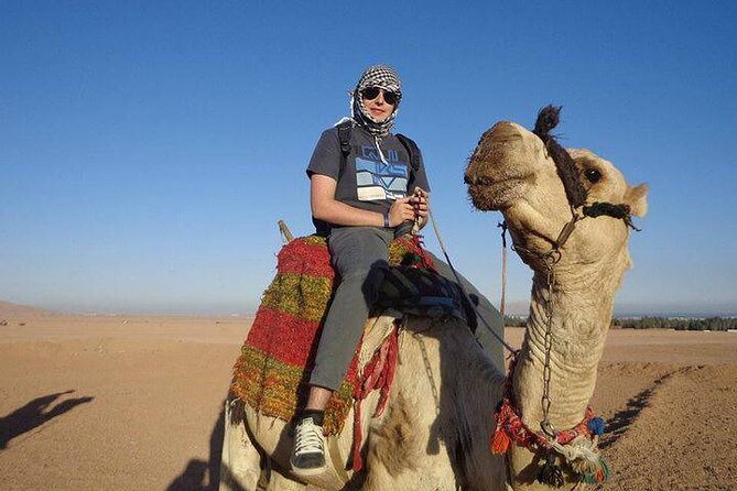 Quad Biking Safari-Camel Ride-Bedouin Dinner and Shows From Sharm - Customer Experiences