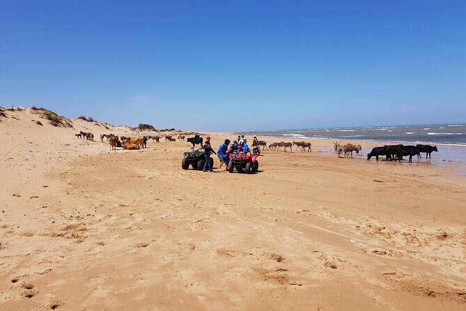 Quad Day With Meal: Sidi Kaouki 6 Hours (Free Transfer) - Customer Experiences