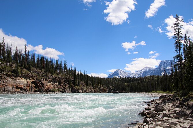 Rafting Athabasca Falls Run in Jasper - Customer Feedback and Reviews