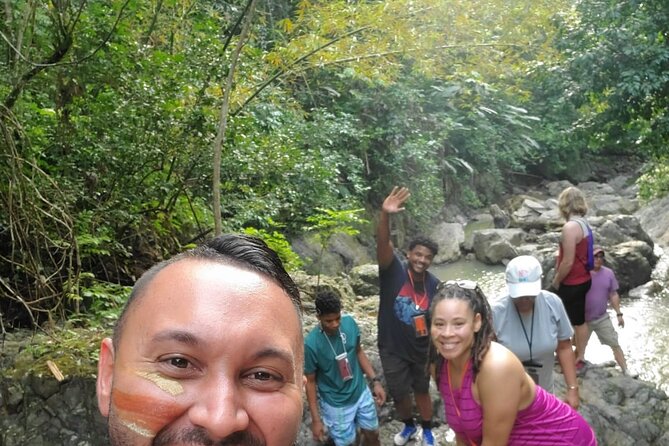 Rainforest Tour in San Juan, Puerto Rico - Accessibility Information
