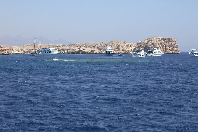 Ras Mohamed and White Island Snorkeling Trip and One Stop Diving-Sharm El Shiekh - Hotel Pickup and Drop-off