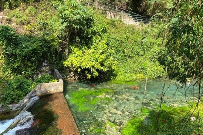 Rastasafari and Negril Tour With French Guide - Highlights and Experiences
