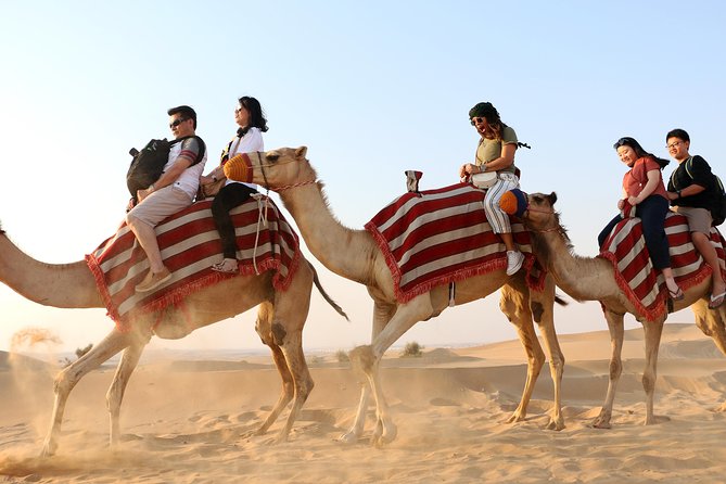 Red Dunes Quad Bike, Camel Ride+Sand Surfing, BBQ Dinner @ VIP CAMP - Quad Biking Experience