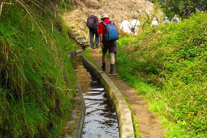 Referta Castelejo Levada Walk From Funchal - Reviews Summary