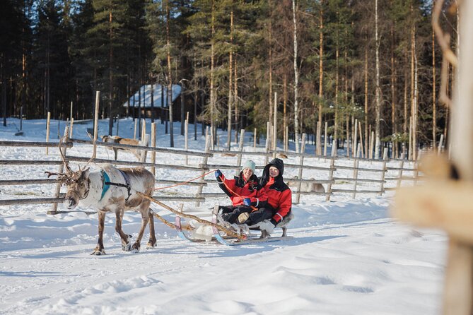 Reindeer Farm Visit With Sledge Ride - Confirmation and Cancellation
