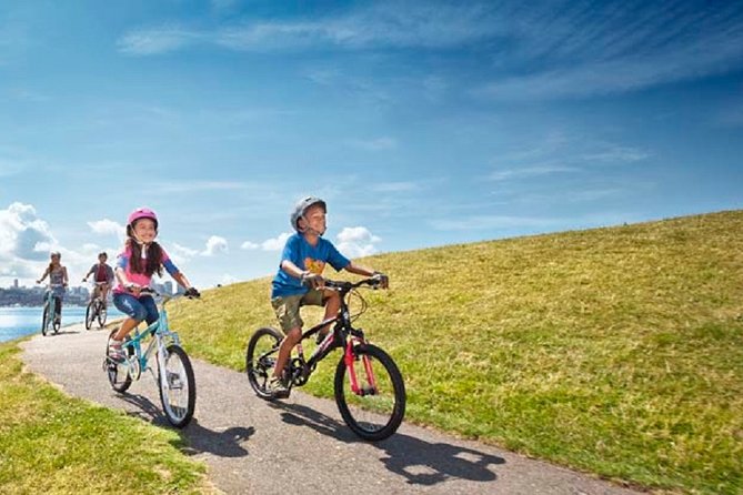 Rent City Bike 18 Gears From 9 Hours to 7 Days: Visit Maspalomas - Meeting and Access