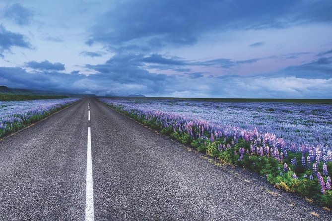 Rent Unlimited High Speed Pocket Wifi in Iceland - Device Registration Process