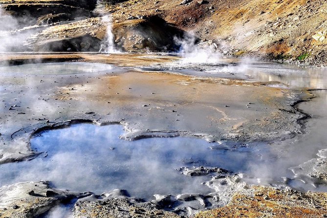 Reykjavik Private Choose Your Own Adventure Tour - Private Guide Expertise