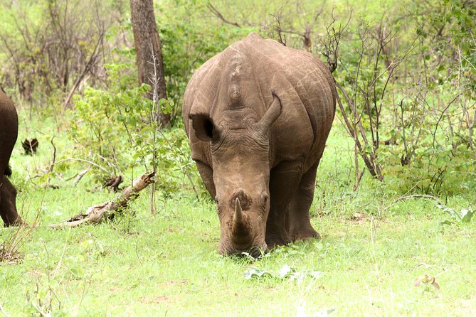 Rhino Game Drive - Frequently Asked Questions