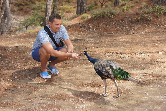 Rhodes Self Drive 4x4 Wilderness Expedition and Lavish Lunch - Vehicle and Accessibility
