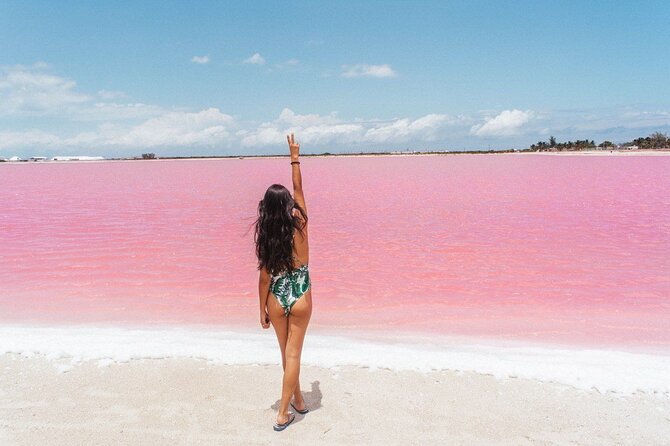 Ria Lagartos, Coloradas & Cancunito Beach From Merida - Customer Reviews