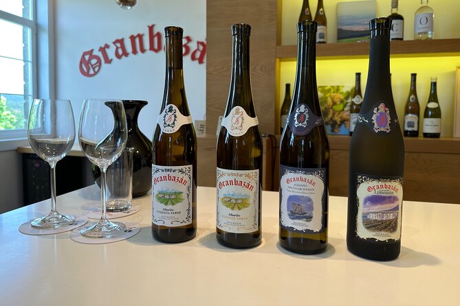 Rias Baixas Private Wine Tasting Tour in a Porsche Taycan - Exploring Rias Baixas Vineyards