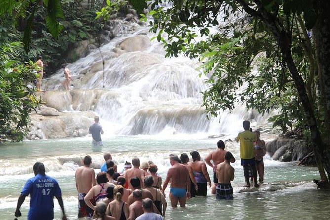River Tubing and Dunn's River Falls - Customer Reviews and Testimonials