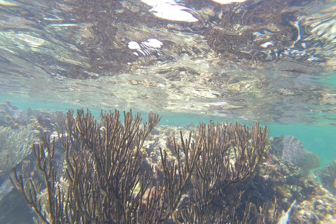 Riviera Maya Snorkeling - Frequently Asked Questions