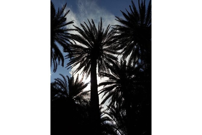 RIVIERA - Vai Palm Beach, Toplou Monastery - Tour Highlights