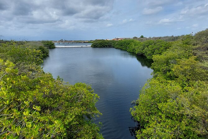 Road to San Nicolas Culture Heritage by Electric Bike Aruba - Electric Bike Experience