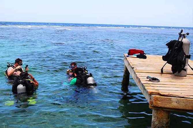 Roatan 1 Tank Shore Dive, Sloth & Monkey Park, City Tour Plus Transportation - Transportation and Pickup Logistics