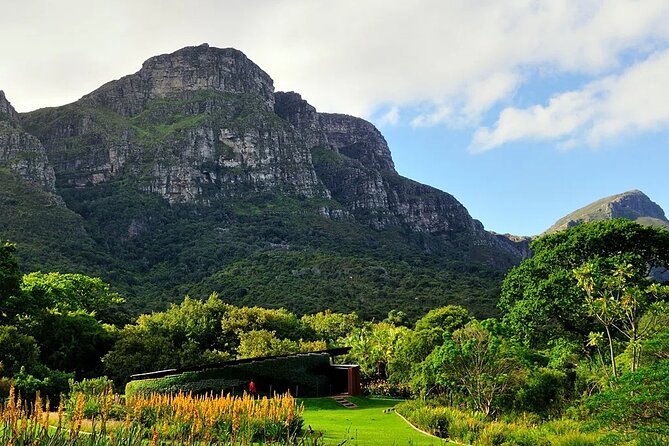 Robben Island ,Kirstenbosch Gardens and Groot Constantia. - Traveler Feedback and Sentiments