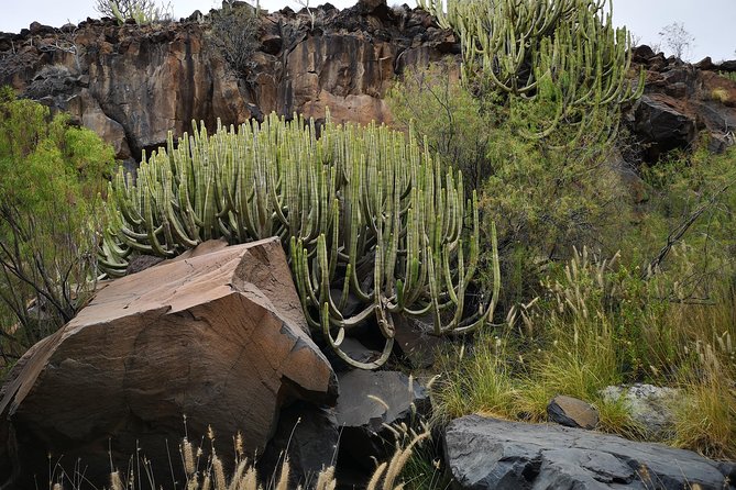 Rock Climbing in Natural Space. - Experience Level and Skill Progression