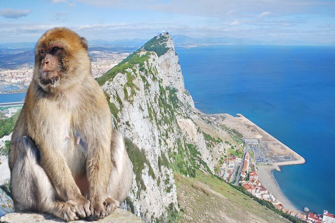 Rock Tour in Gibraltar by Bus Review - Cancellation and Reservation
