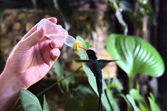 Rockland Bird Sanctuary Private Tour - Highlights of the Tour