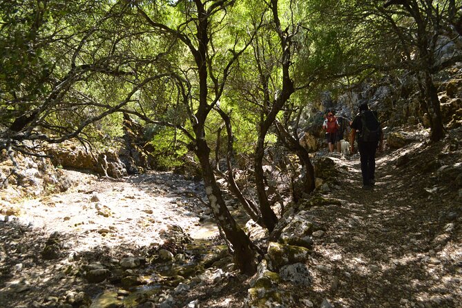 Rouvas Gorge Tour Review: A Scenic Adventure - Essential Tour Inclusions