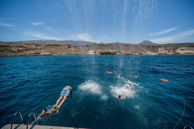 Royal Delfin 3H Dolphin & Whale Watching! Swimming & Lunch! - Customer Feedback and Ratings