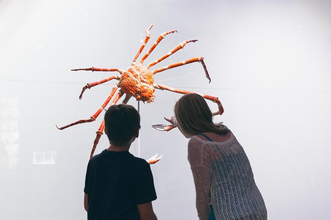 Royal Ontario Museum Admission - Accessibility Features
