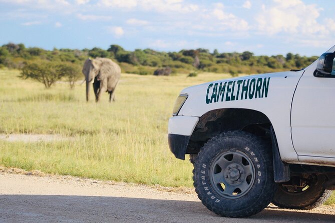 Safari in Etosha National Park With Professional Tour Guides Born in Etosha. - Recommendations for Travelers