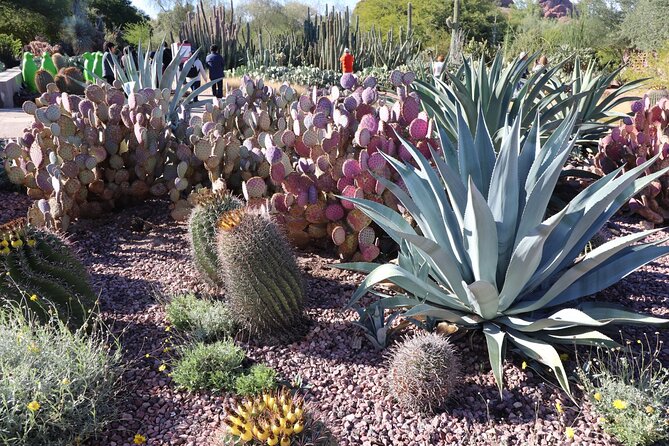 Saguaro National Park Self-Guided Driving Audio Tour - Technical Support and Special Offers