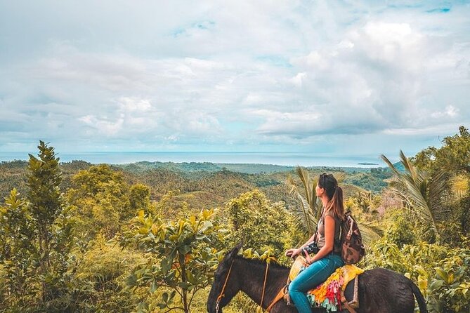 Samaná Whale Watching, Waterfall & Cayo Levantado Adventure - Horseback Riding to El Limon Waterfall
