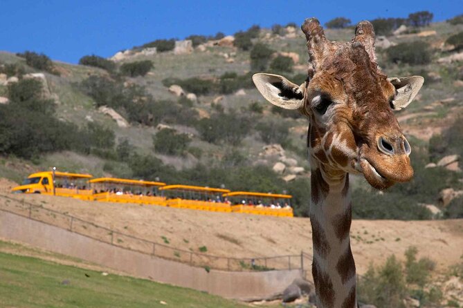 San Diego Explorer Pass: Save up to 50% - Includes San Diego Zoo - Customer Experiences and Feedback