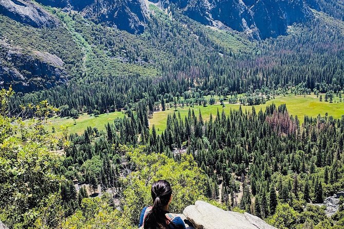 San Francisco to Yosemite One-Way Transfer - Reviews and Feedback