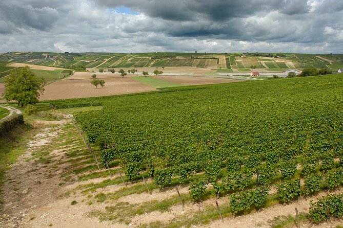 Sancerre & Pouilly-Fumé Wine Tour With Local Goats Cheese and the River Loire - Scenic Countryside Immersion