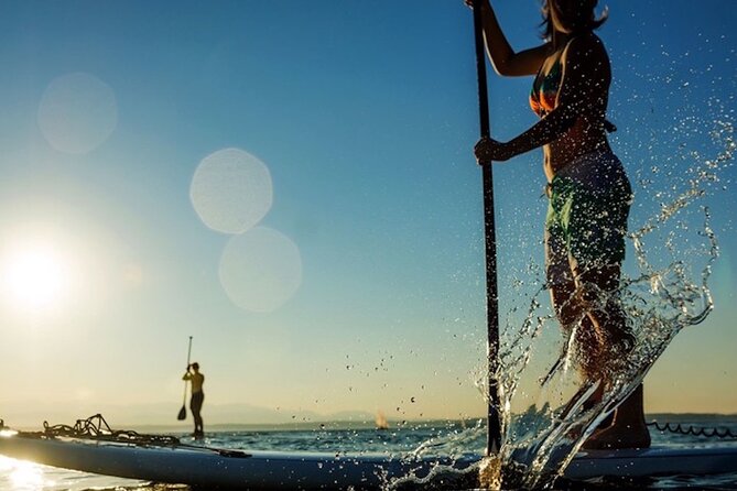 Santa Barbara Kayak or Stand Up Paddle Rental - Accessibility Considerations