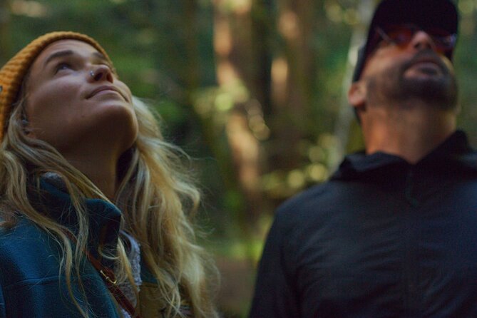 Santa Cruz Redwoods Forest Therapy - Accessing the Park Entrance