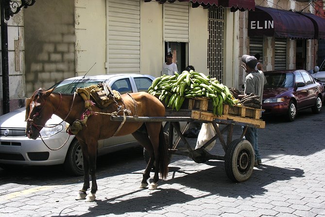 Santo Domingo off the Beaten Track - Immersive Cultural Experience