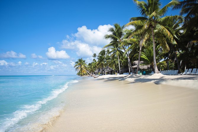 Saona Island Day Trip - Catamaran Cruise