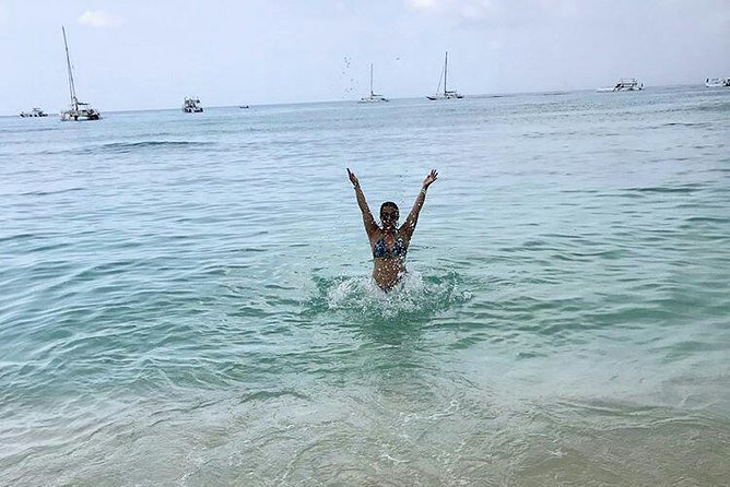 Saona Island Full Day From Punta Cana - Highlights of the Experience