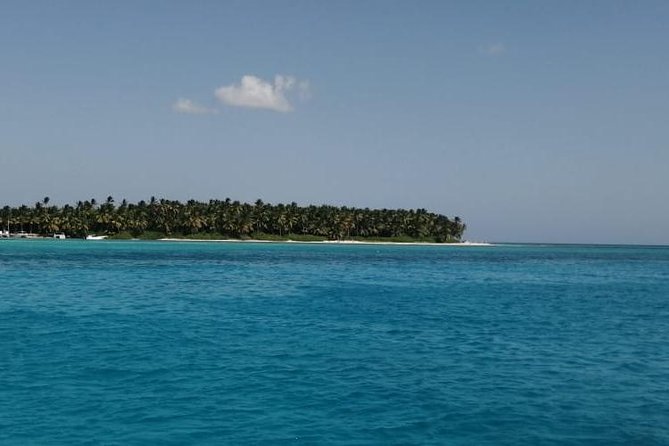 Saona Island Full Day From Punta Cana - Highlights of the Experience