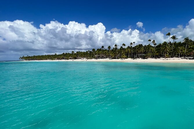 Saona Island Premium Discovery Tour From Punta Cana or Bayahíbe - Wildlife and Nature Encounters