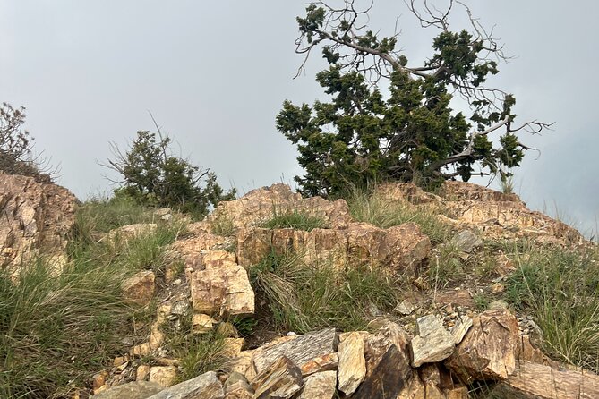 Sawda Mountains Hiking Trail - Booking Information