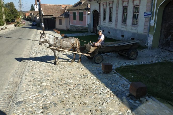 Saxon Heritage in Transylvania: Day Trip From Cluj-Napoca - Knowledgeable Tour Guidance