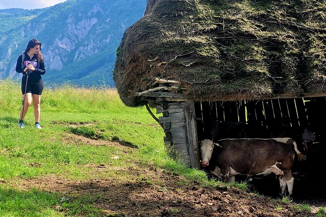 Scarita-Belioara Private Hiking Tour From Cluj  - Cluj-Napoca - Customer Support and Assistance