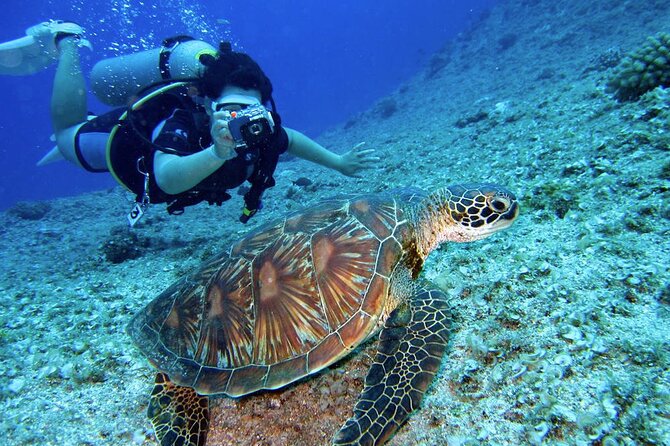 Scuba Diving Experience in Alanya With Lunch and 2 Dives - Customer Feedback and Issues