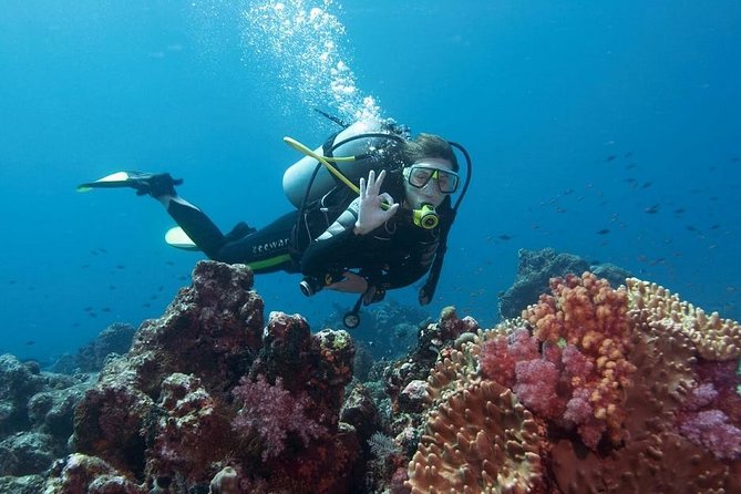 Scuba Diving From Fethiye - Exploring the Underwater Wonders