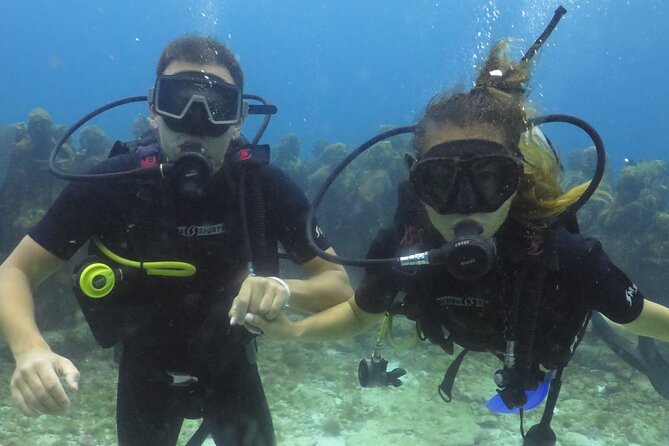 Scuba Diving in Cancun FREE Photos/Videos Beginners Welcomed! - Explore the Underwater Museum